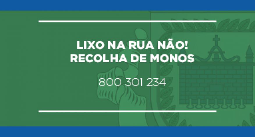 Lixo na Rua N&Atilde;O!