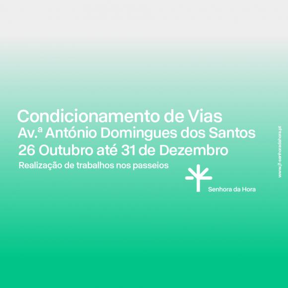 Realiza&ccedil;&atilde;o de trabalhos nos passeios - Av.&ordf; Ant&oacute;nio Domingues dos Santos