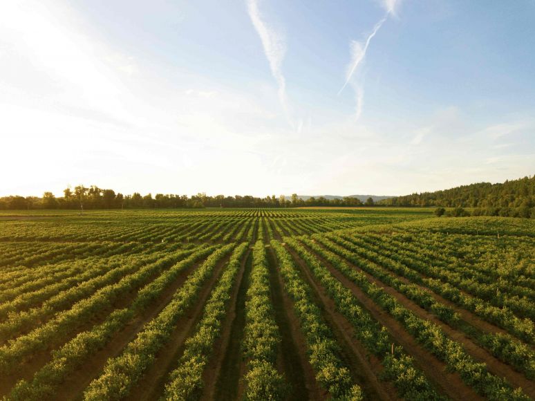 Governo prolonga apoios ao gas&oacute;leo agr&iacute;cola e aos pescadores